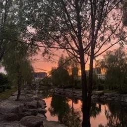 4672 4672